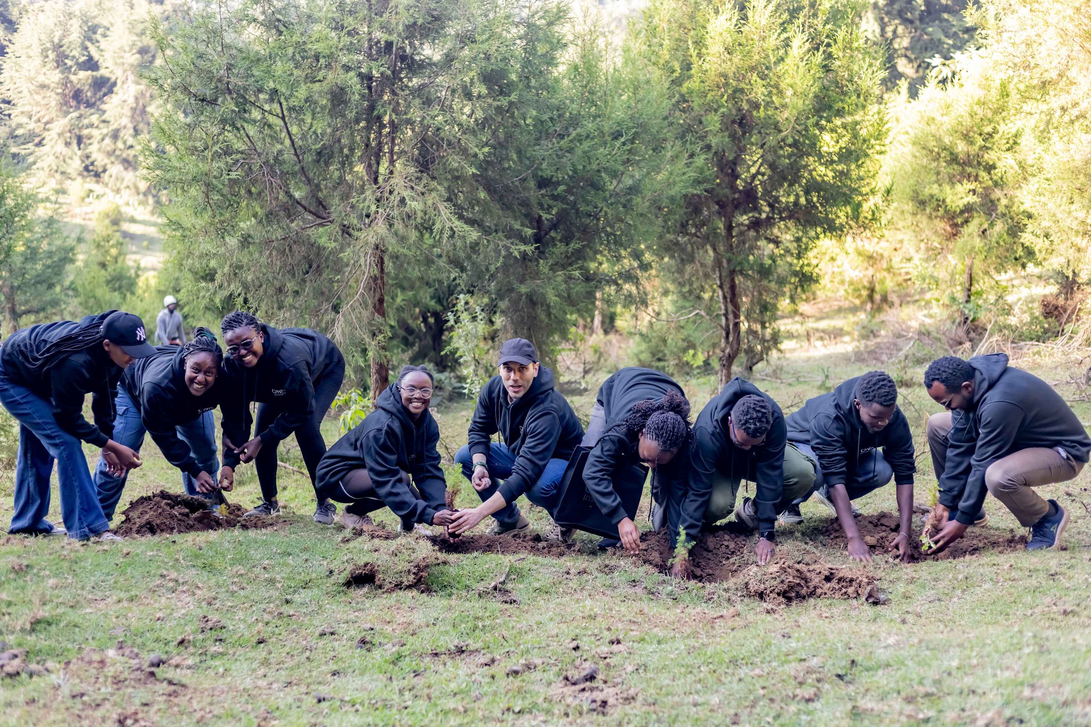 Tree planting at The Forest